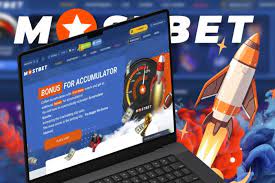 Bingo: Salas de Bingo Online em Portugal